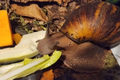 20240501_221934