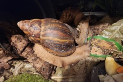 20240703_230805
