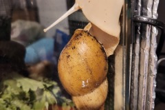 20240608_202236