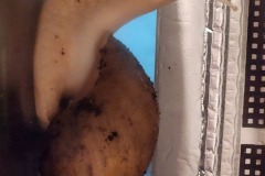 20240608_221402