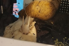 20240807_231817