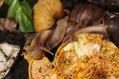 20250121_201238