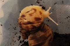 20240626_221910